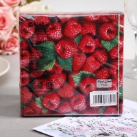 Салфетки бумажные New line FRESCO «Малина», 2 слоя, 33*33 см, 20 шт. Салфетки бумажные New line FRESCO «Малина», 2 слоя, 33*33 см, 20 шт.