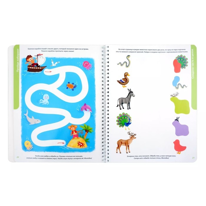 Развивающий альбом &laquo;Пиши - стирай&raquo;, 2+