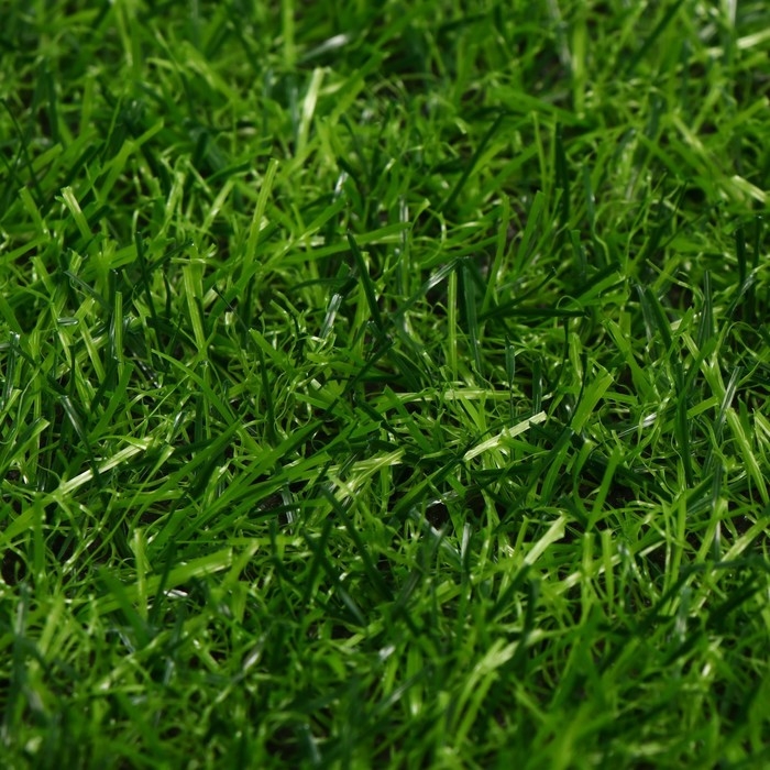 Газон искусственный, ворс 20 мм, 2 × 25 м, трёхцветный, тёмно-зелёный, Greengo Газон искусственный, ворс 20 мм, 2 × 25 м, трёхцветный, тёмно-зелёный, Greengo