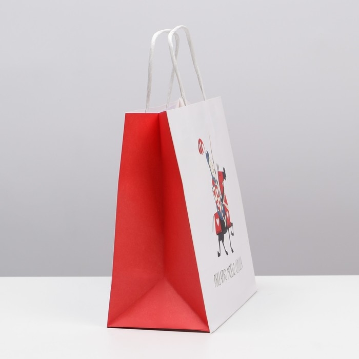 Пакет подарочный, упаковка, «Рыцарю», 22 х 22 х 11 см Пакет подарочный, упаковка, «Рыцарю», 22 х 22 х 11 см