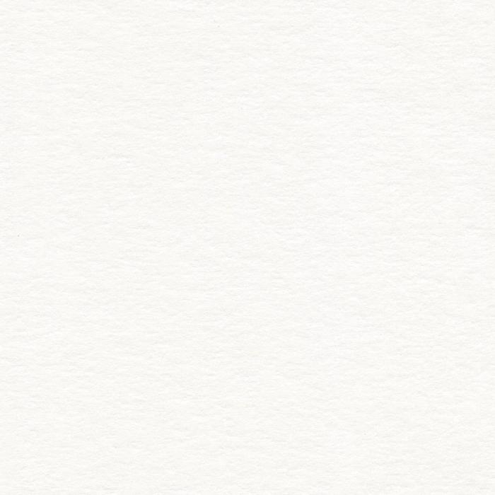 Папка для акварели А4, 210 х 297 мм, 10 листов, блок 200 г/м2, бумага по ГОСТ 7277-77