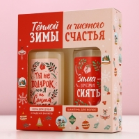Подарочный набор косметики новогодний &laquo;Тёплой зимы и чистого счастья!&raquo;, гель для душа и шампунь для волос, 2 х 250 мл, Новый Год
