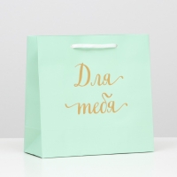 Пакет подарочный крафт "Для тебя", зелёный, 22,5 х 23 х 10 см, набор 12 шт. Пакет подарочный крафт "Для тебя", зелёный, 22,5 х 23 х 10 см, набор 12 шт.