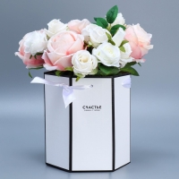 Переноска складная шестигранник &laquo;Счастье&raquo;, 17 &times; 14,8 &times; 19,5 см