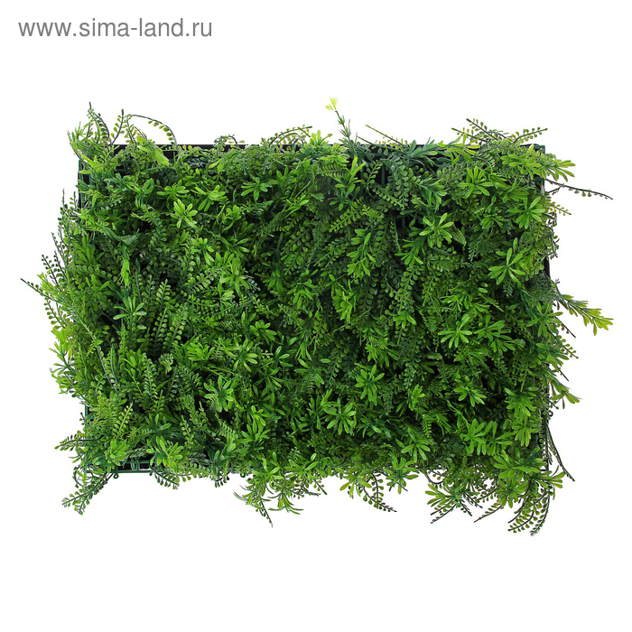 Декоративная панель, 40 × 60 см, «Разнотравье», Greengo Декоративная панель, 40 × 60 см, «Разнотравье», Greengo