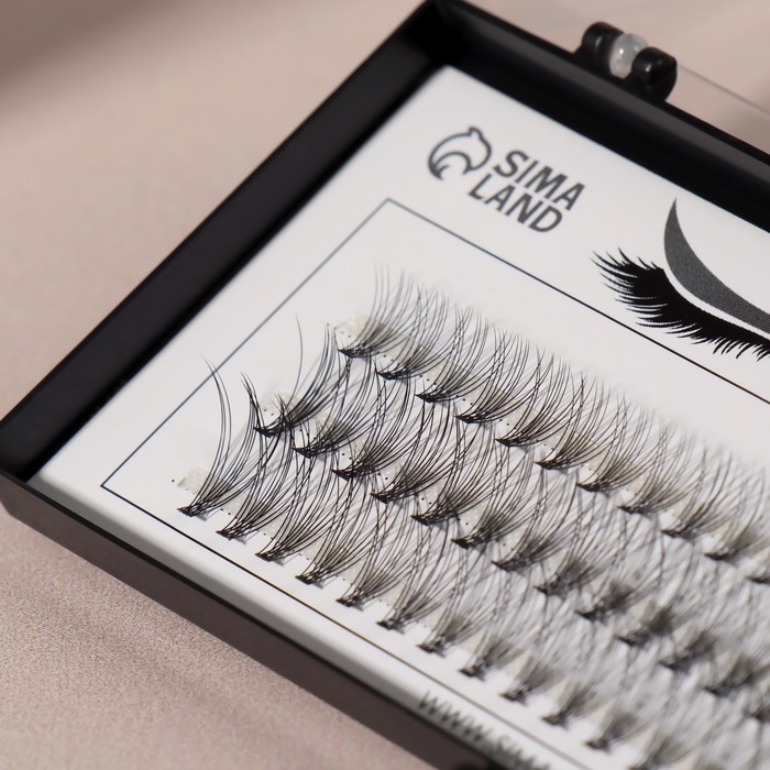 Набор накладных ресниц «Классика», пучки, 10, 12, 14 мм, толщина 0,1 мм, изгиб C, 10 D Набор накладных ресниц «Классика», пучки, 10, 12, 14 мм, толщина 0,1 мм, изгиб C, 10 D