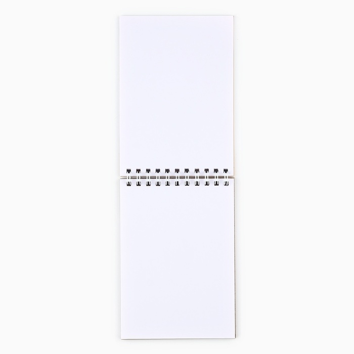 Новый год. Скетчбук А6, 40 л &laquo;Северная почта&raquo;