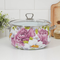 Кастрюля эмалированная &laquo;Пион&raquo;, 5.7 л, стеклянная крышка, индукция