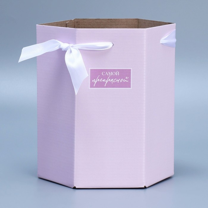 Переноска складная шестигранник «Самой прекрасной», 17 × 14,8 × 19,5 см Переноска складная шестигранник «Самой прекрасной», 17 × 14,8 × 19,5 см