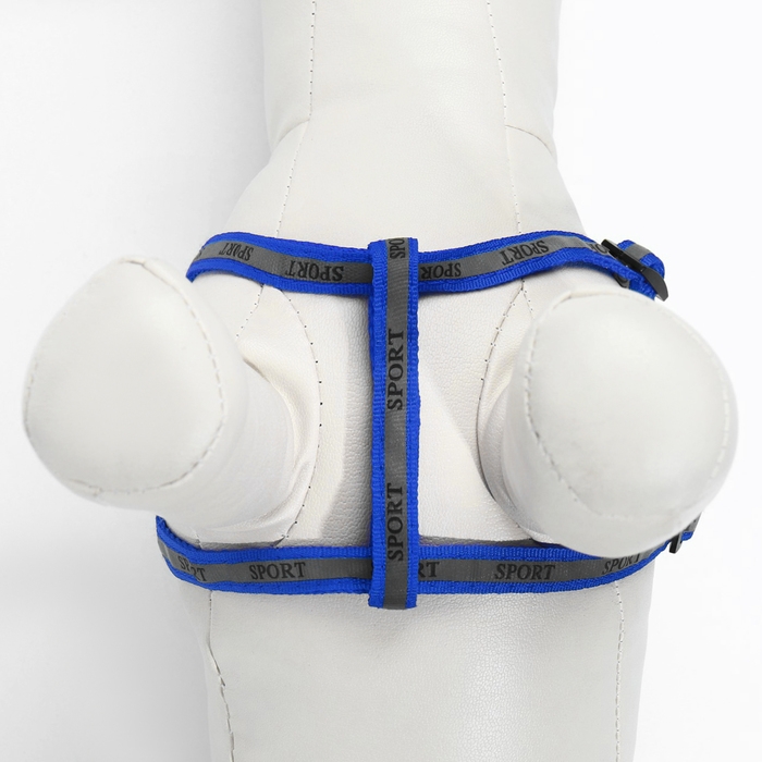 Комплект "Спорт" светоотражающий, поводок 120 х 1 см, ОГ 22-39 см, микс цветов