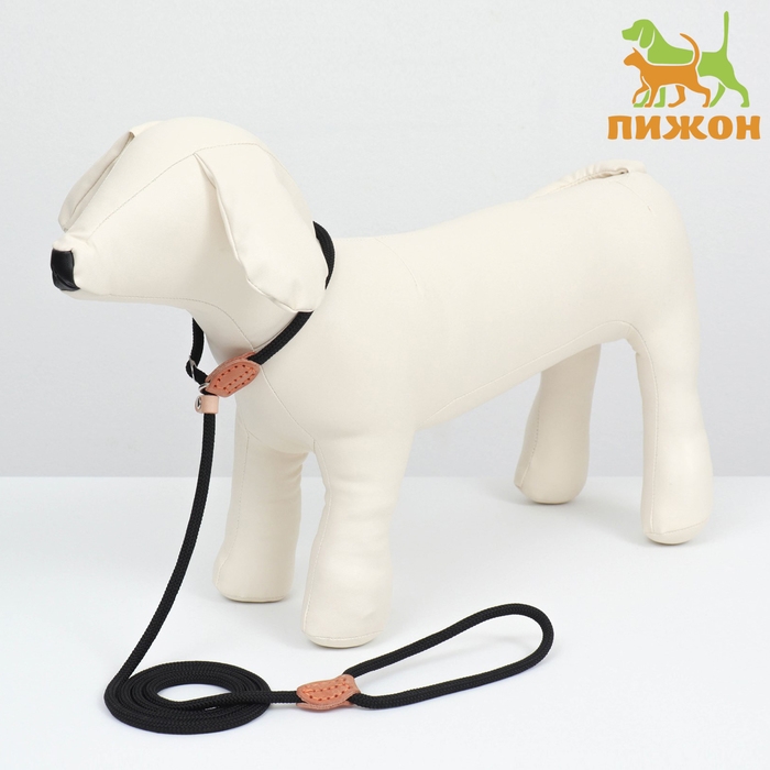 Поводок-удавка 150 см х 6 мм, полиэстер и натуральная кожа, чёрный Поводок-удавка 150 см х 6 мм, полиэстер и натуральная кожа, чёрный