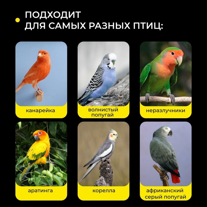 Кормушка для птиц внутренняя, 7,5 х 5,5 х 9 см