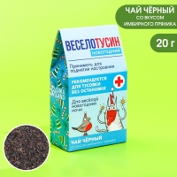 Новый год! Чай чёрный в домике &laquo;Веселотусин новогодний&raquo;, вкус: имбирный пряник 20 г.