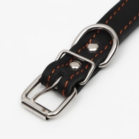 Ошейник кожаный на синтепоне украшенный, безразмерный, 47 х 2 см, ОШ 28-39 см, чёрный Ошейник кожаный на синтепоне украшенный, безразмерный, 47 х 2 см, ОШ 28-39 см, чёрный