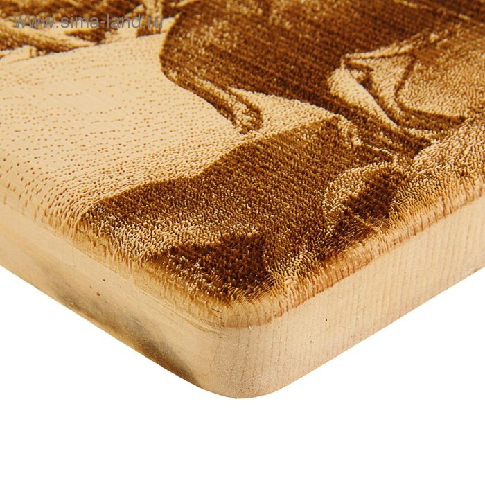 Доска из массива кедра &laquo;Олень&raquo;, квадратная, 18 &times; 18 см