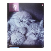 Тетрадь 48 листов в клетку "Котята мур-мур", обложка мелованный картон, гибридный лак, фольга, МИКС Тетрадь 48 листов в клетку "Котята мур-мур", обложка мелованный картон, гибридный лак, фольга, МИКС