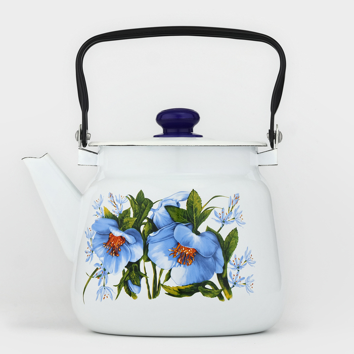 Чайник с кнопкой «Цветы синие», 3,5 л, индукция, цвет белый Чайник с кнопкой «Цветы синие», 3,5 л, индукция, цвет белый