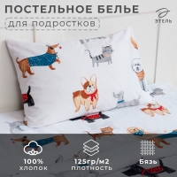 Постельное бельё Этель 1.5 сп Dog party, 143*215 см, 150*214 см, 50*70 см -1 шт,100% хлопок, бязь Постельное бельё Этель 1.5 сп Dog party, 143*215 см, 150*214 см, 50*70 см -1 шт,100% хлопок, бязь