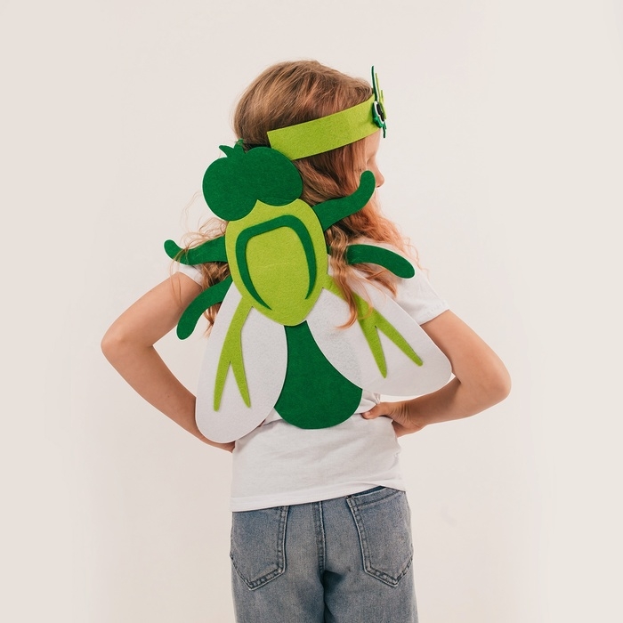 Карнавальный набор &laquo;Весёлые насекомые&raquo;: повязка и муха из фетра, 3&ndash;7 лет