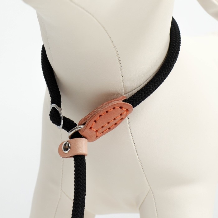 Поводок-удавка 150 см х 6 мм, полиэстер и натуральная кожа, чёрный Поводок-удавка 150 см х 6 мм, полиэстер и натуральная кожа, чёрный