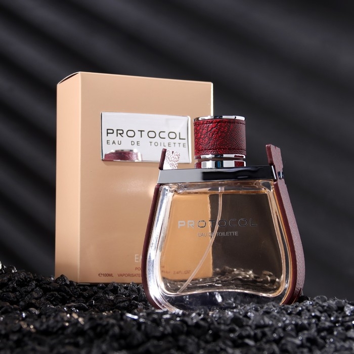 Туалетная вода мужская PROTOCOL, 100 мл Туалетная вода мужская PROTOCOL, 100 мл