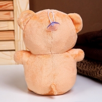 Мягкая игрушка &laquo;Мишка&raquo;, с ягодкой, 20 см