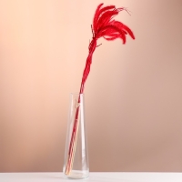 Набор сухоцветов "Сетария", банч 7 шт, длина 60-65 (+/- 6 см), красный Набор сухоцветов "Сетария", банч 7 шт, длина 60-65 (+/- 6 см), красный