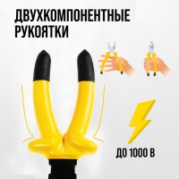 Плоскогубцы диэлектрические ТУНДРА, изолирующие рукоятки из резины до 1000 В, 160 мм Плоскогубцы диэлектрические ТУНДРА, изолирующие рукоятки из резины до 1000 В, 160 мм