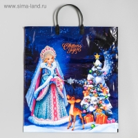 Новый год. Пакет "Сказочная фея", полиэтиленовый с пластиковой ручкой, 40х44 см. Новый год. Пакет "Сказочная фея", полиэтиленовый с пластиковой ручкой, 40х44 см.