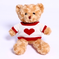 Мягкая игрушка «Мишка в футболке», 30 см, цвета МИКС Мягкая игрушка «Мишка в футболке», 30 см, цвета МИКС