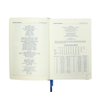 Ежедневник НЕдатированный А5, 136 листов в линейку, кожзам "Небраска", серебряный срез, синий Ежедневник НЕдатированный А5, 136 листов в линейку, кожзам "Небраска", серебряный срез, синий