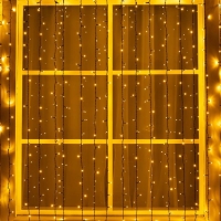 Гирлянда «Занавес» 2 × 6 м, IP44, УМС, тёмная нить, 1440 LED, свечение тёплое белое, 220 В Гирлянда «Занавес» 2 × 6 м, IP44, УМС, тёмная нить, 1440 LED, свечение тёплое белое, 220 В