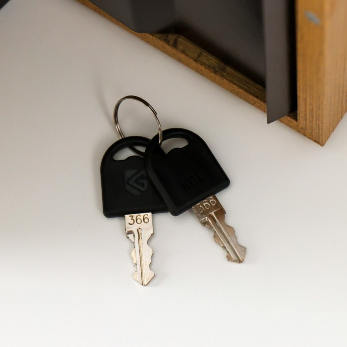 Сейф дерево книга кожзам Сейф дерево книга кожзам "Россия - великая страна" 21х13х5 см