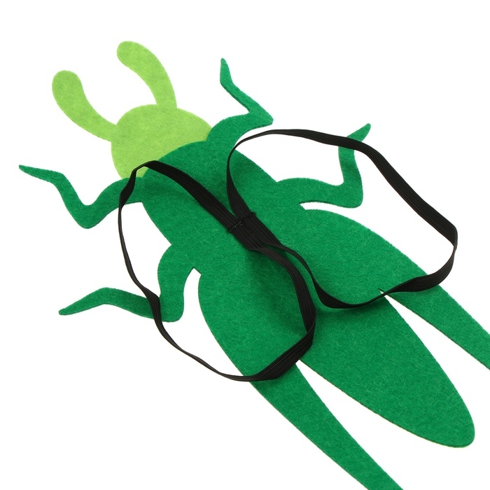 Карнавальный набор &laquo;Весёлые насекомые&raquo;: повязка и кузнечик из фетра, 3&ndash;7 лет