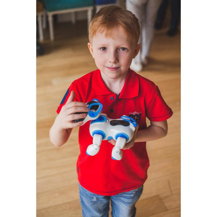 Робот собака «Ки-Ки», программируемый, на пульте управления, интерактивный: звук, свет, танцующий, музыкальный, на батарейках, на русском языке, синий Робот собака «Ки-Ки», программируемый, на пульте управления, интерактивный: звук, свет, танцующий, музыкальный, на батарейках, на русском языке, синий