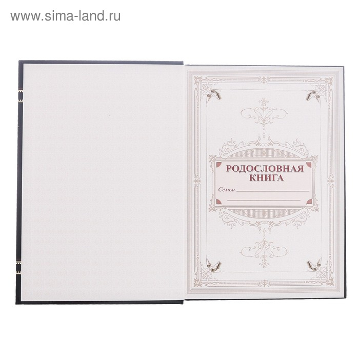 Новогодняя родословная книга &laquo;Новый год: Золотой шик&raquo;, 56 листов, 17 х 2 х 23,7 см.