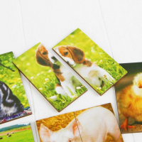 Картинки-половинки &laquo;Домашние животные&raquo;