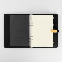 Ежедневник со встроенным зарядным устройством 8000 мАh и флешкой 16 ГБ «Лев», 17,5 х 23,5 см Ежедневник со встроенным зарядным устройством 8000 мАh и флешкой 16 ГБ «Лев», 17,5 х 23,5 см