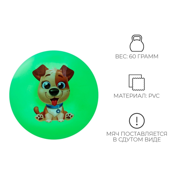 Мяч детский ZABIAKA «Пёсик», d=22 см, цвет МИКС Мяч детский ZABIAKA «Пёсик», d=22 см, цвет МИКС