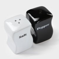 Набор керамический для специй Magistro «Инь-Янь», 2 предмета: солонка, перечница, 150 мл Набор керамический для специй Magistro «Инь-Янь», 2 предмета: солонка, перечница, 150 мл