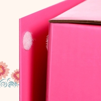 Кукла интерактивная &laquo;Настенька&raquo;