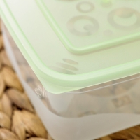 Контейнер для продуктов &laquo;Ассорти&raquo;, 1 л, прозрачный, крышка микс