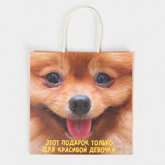 Пакет подарочный, упаковка, &laquo;Подарочек&raquo;, 22 х 22 х 11 см