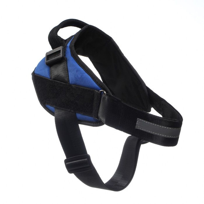 Шлейка К9 мягкая светоотражающая, размер M, ОГ 55-65 см, вес 11-20 кг, синяя Шлейка К9 мягкая светоотражающая, размер M, ОГ 55-65 см, вес 11-20 кг, синяя