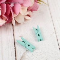 Набор декоративных мини-прищепок "Рукоделие" 18 шт, микс Набор декоративных мини-прищепок "Рукоделие" 18 шт, микс