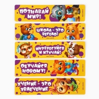 Набор первоклассника 32 предмета &laquo;1 сентября: Сова&raquo;