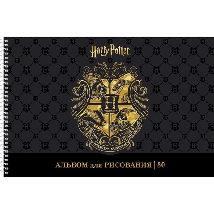 Альбом для рисования А4, 30 листов, на гребне, "Гарри Поттер", обложка мелованный картон, матовая ламинация, 3D фольга, перфорация на отрыв, блок 100 г/м&sup2;, МИКС