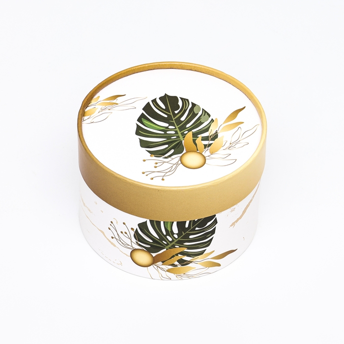 Набор шляпных коробок 3 в 1 Набор шляпных коробок 3 в 1 "Тропики" , завальцованная, 16 х 10, 14 х 9, 13 х 8,5 см