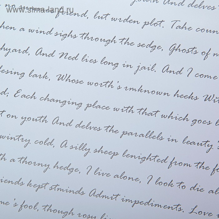 Пленка для цветов "Послание", белая, 0,6 х 10 м