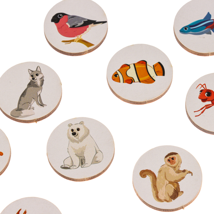 Сортер «Запоминаем животных» Сортер «Запоминаем животных»